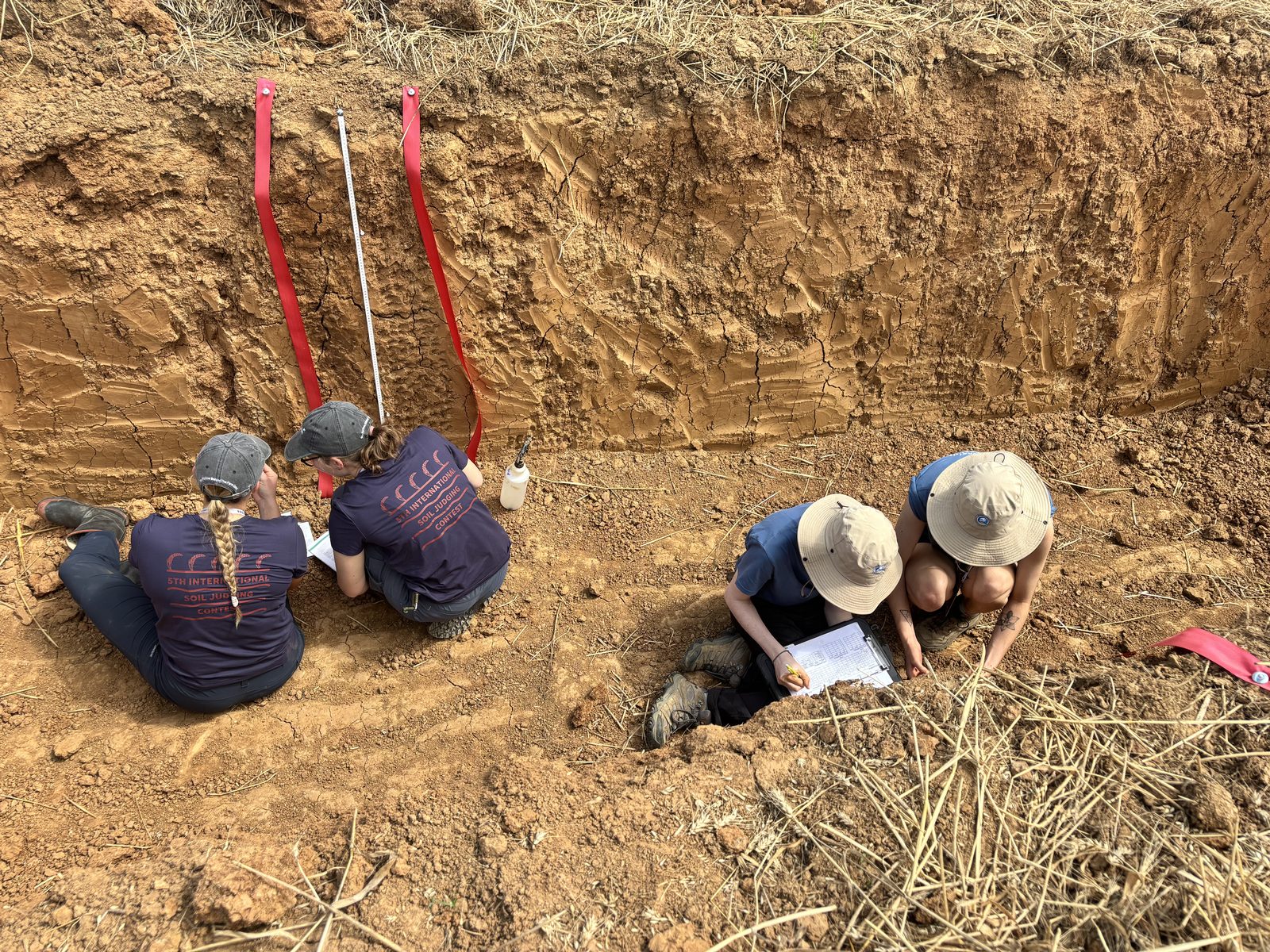 Contest day, 5th International Soil Judging Contest (2/20)