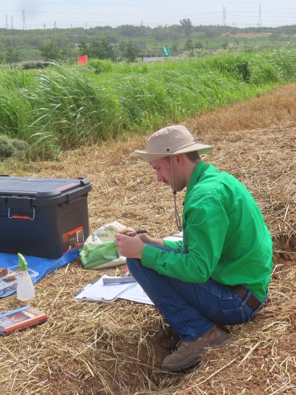 Contest day, 5th International Soil Judging Contest (6/20)