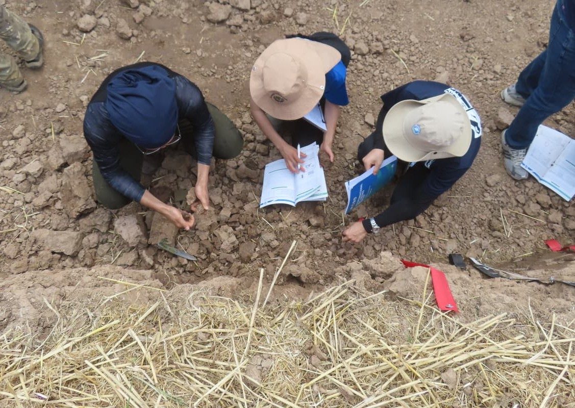 Field training near Nanjing and Jurong, 5th International Soil Judging Contest (10/21)