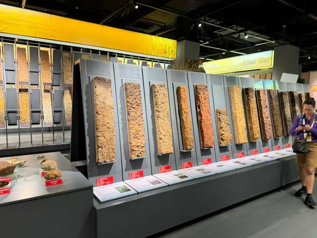 Part of the museum's collection of 500 soil monoliths